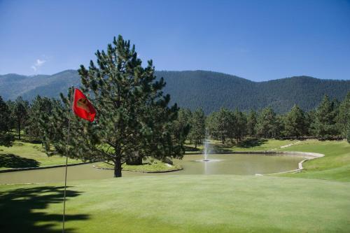 Hotel Bosques De Monterreal
