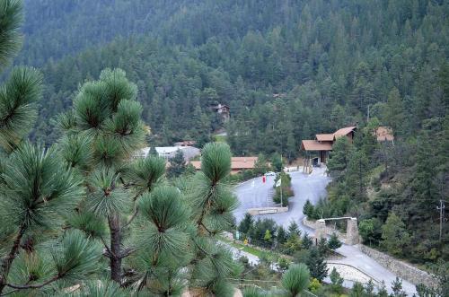 Hotel Bosques De Monterreal