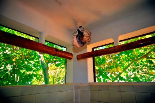 Posada Bamb� Ecocaba�as