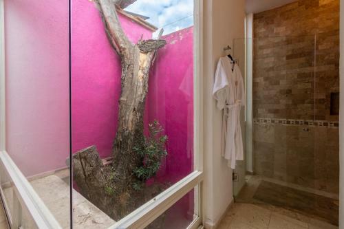 Hotel Hacienda San Crist�bal
