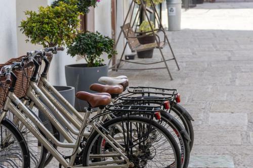 Hotel Hacienda San Crist�bal