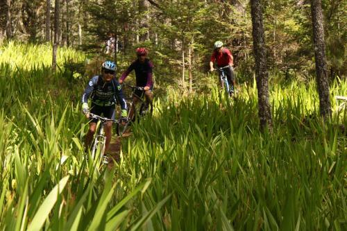 Lodge Centro Ecotur�stico Caba�as Llano Grande
