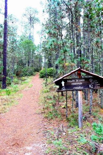 Lodge Centro Ecotur�stico Caba�as Llano Grande