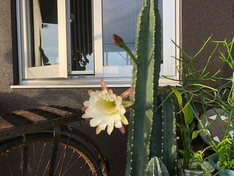 B&B Tandem
