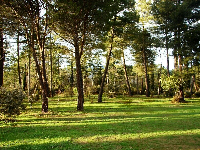 Agroturismo Poggio Corsucci