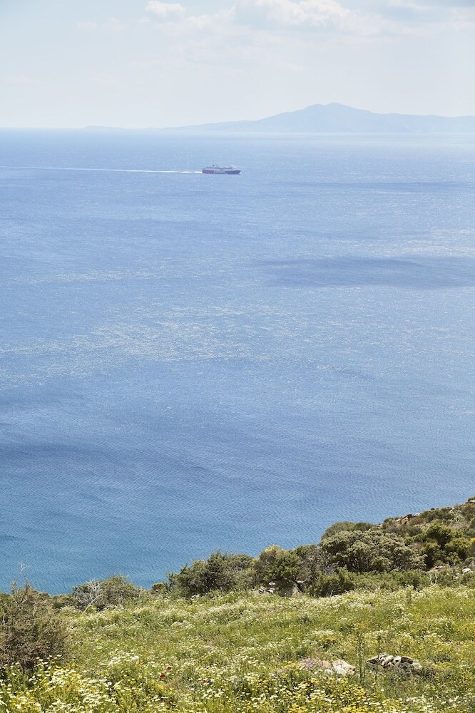 Apartamentos Agnanti Andros