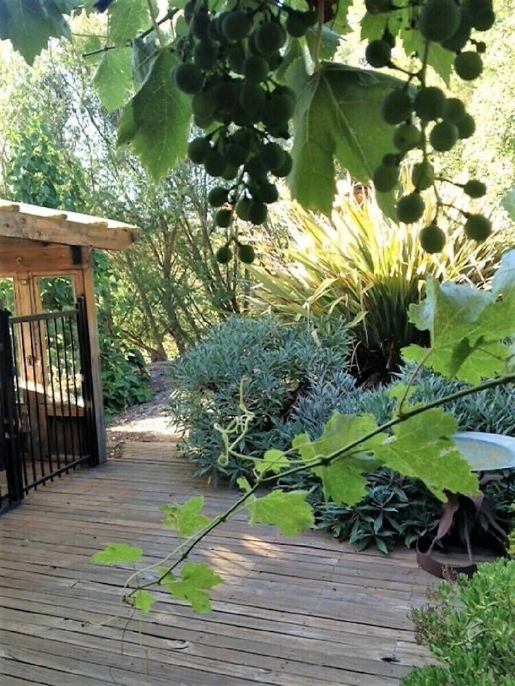 Apartamentos Sutton Spring Art Retreats