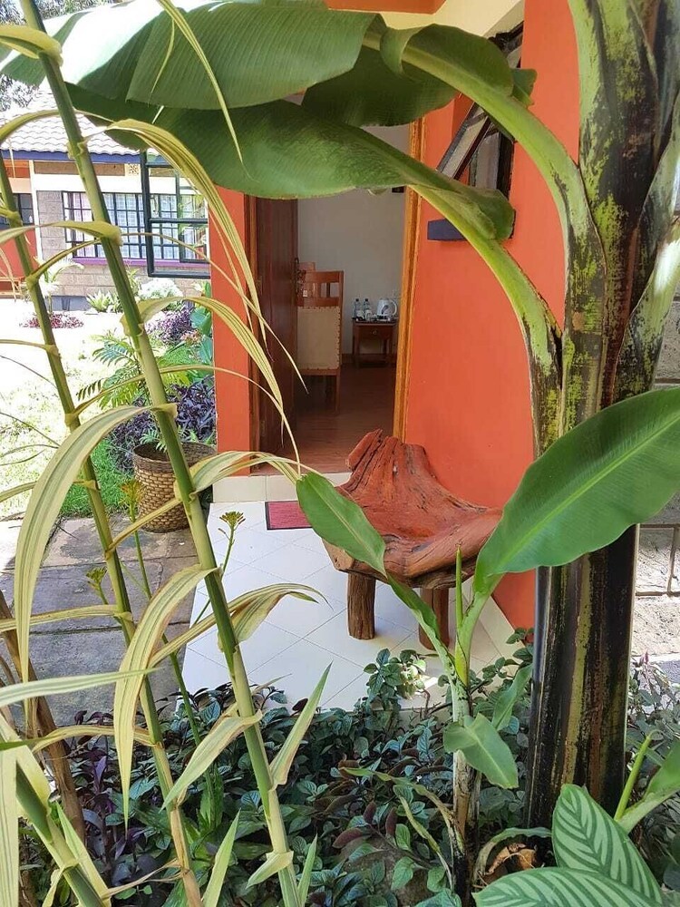 Hotel Penguin House Nanyuki