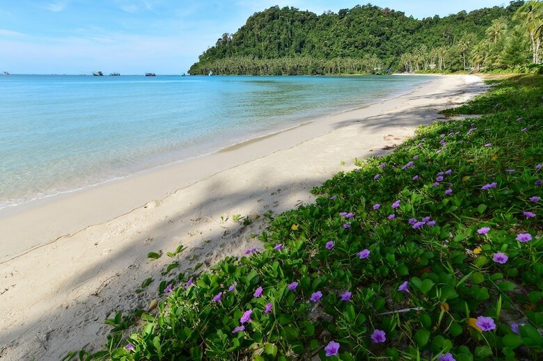 Hotel Escape Life Koh Kood