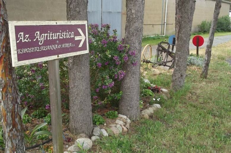 Agroturismo Agriturismo Esposito