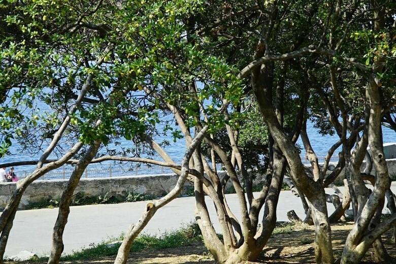 Apartamento Altido La Casetta E Il Mare A Quinto
