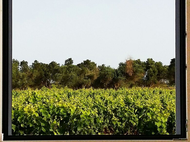 Hotel Casale Alle Vigne