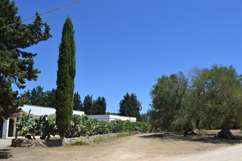 Agroturismo Torre Casciani