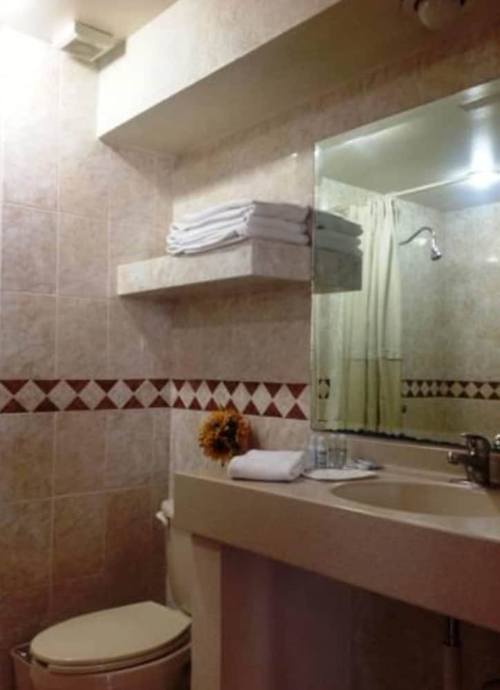 Hotel Plaza Ejecutivo