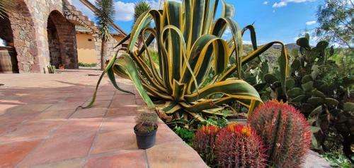 Hotel Rincon Magico