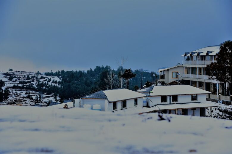 Hotel Mapple The Alpine Chalet Resort