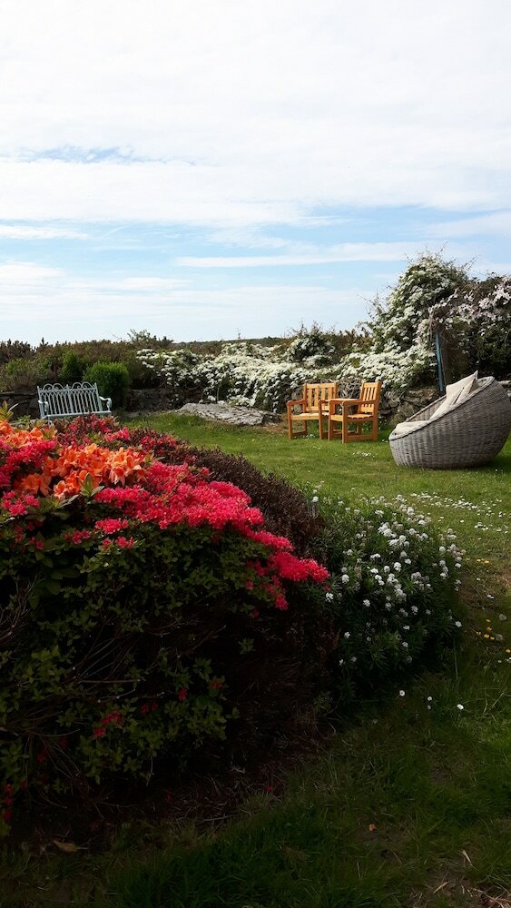 Tyn Llain B&B