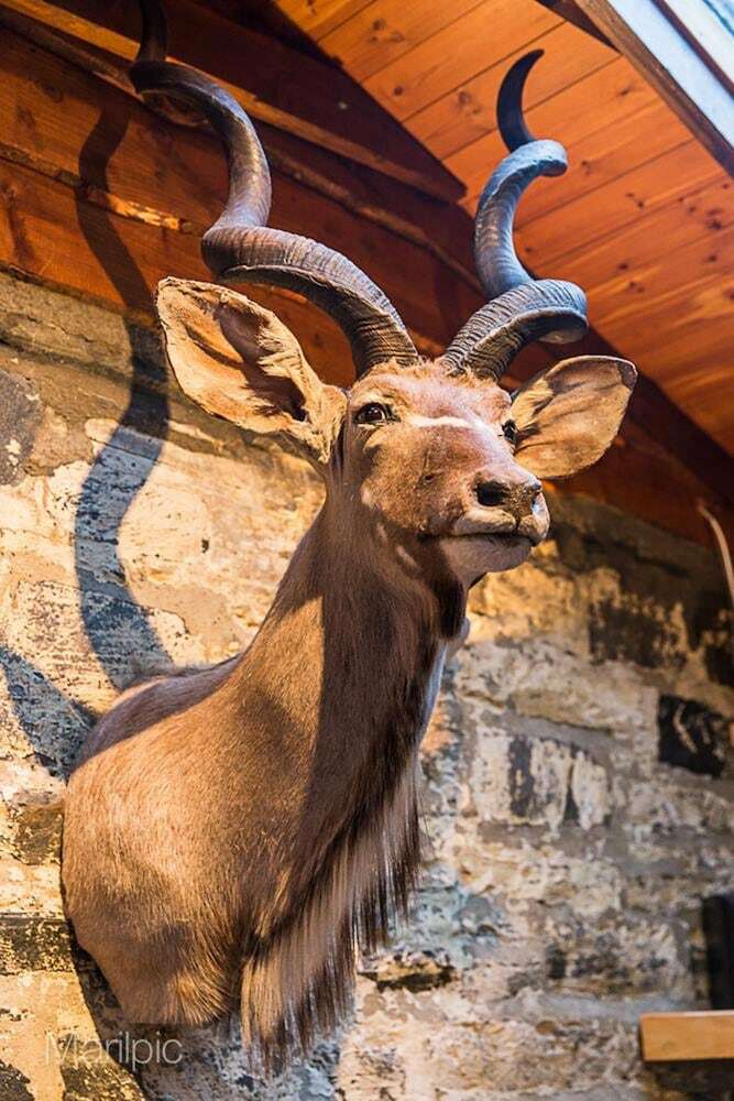 Hotel The Old Byre Knoydart