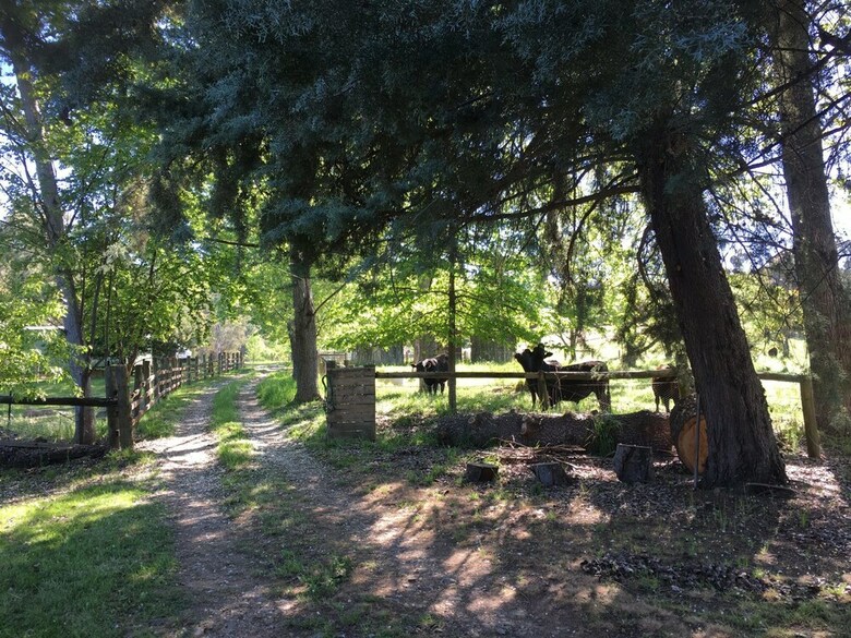 The Grange Homestead