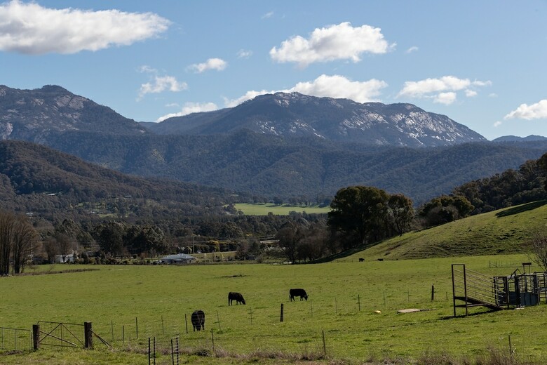 The Grange Homestead