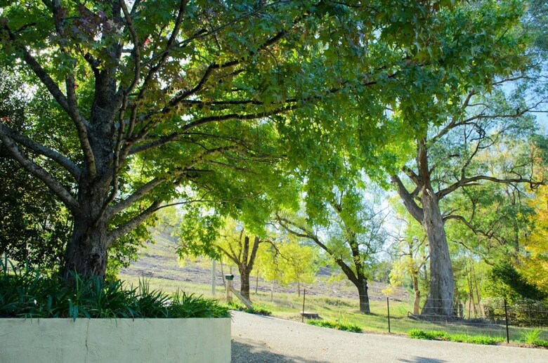 A Bach At Bright - Bright, Vic