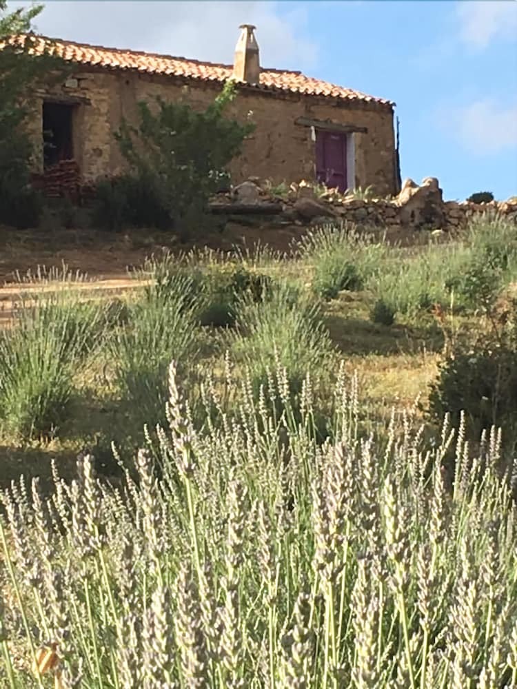Villa Casa Su Niberalzu
