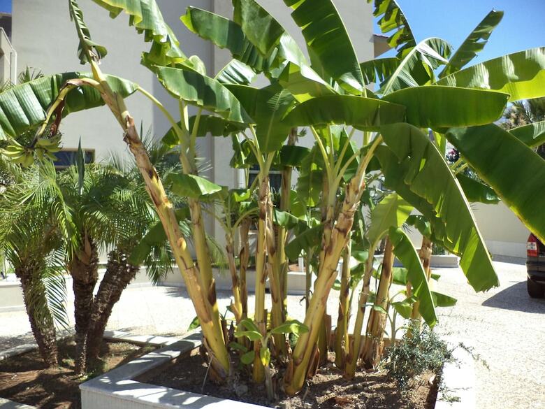 B&B Il Giardino Di Enea