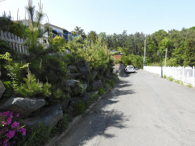 Skyterrace Pension