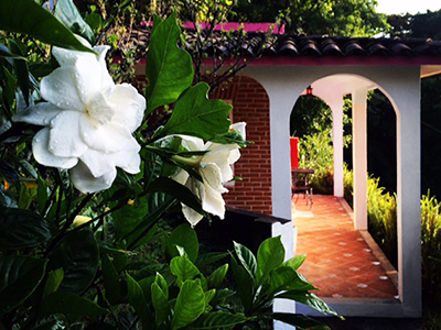 Villas Cuetzalan Hotel Petit