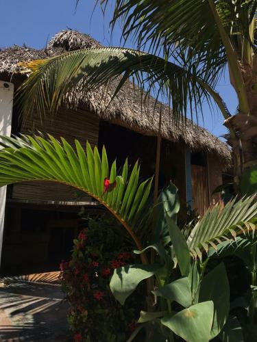 Hotel Condominio Agave Del Mar