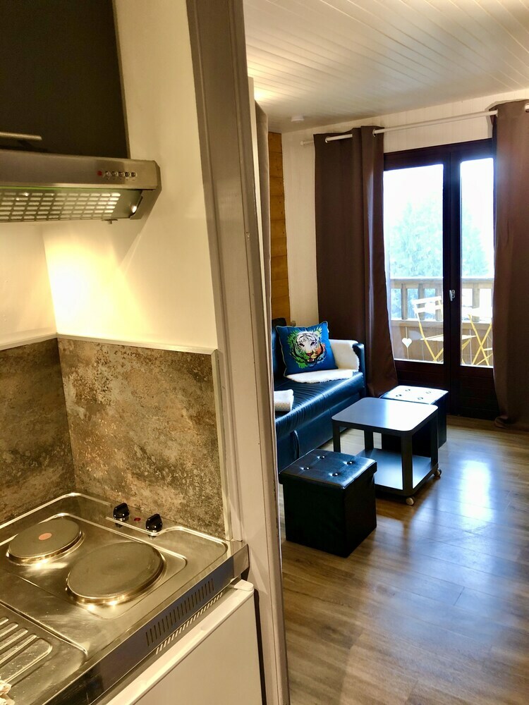 Apartamento R�sidence Le Dahu
