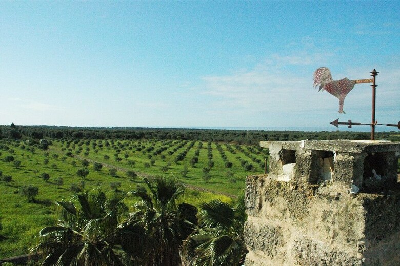 Agroturismo Masseria Gianferrante