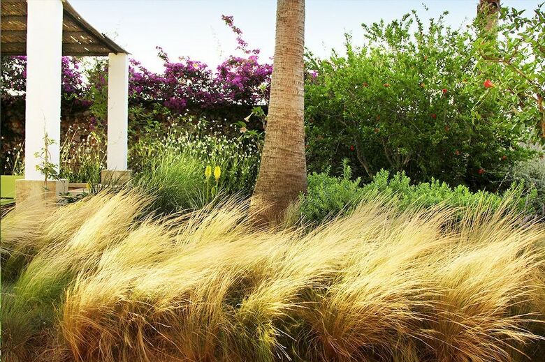 Agroturismo Masseria Gianferrante