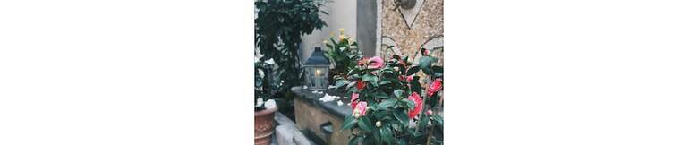 Hotel Il Cortile Di Elisa