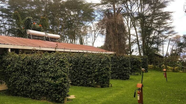 Hotel Hippo Safaris Resort