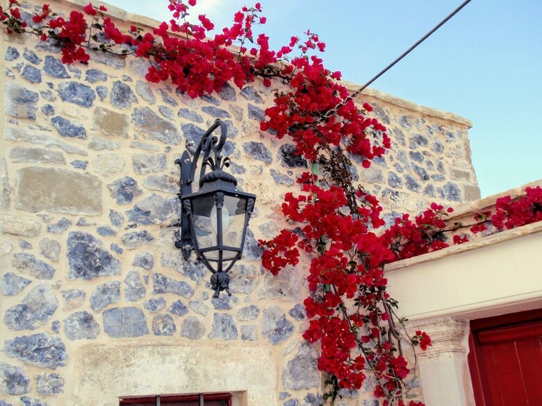 Villa Rosa