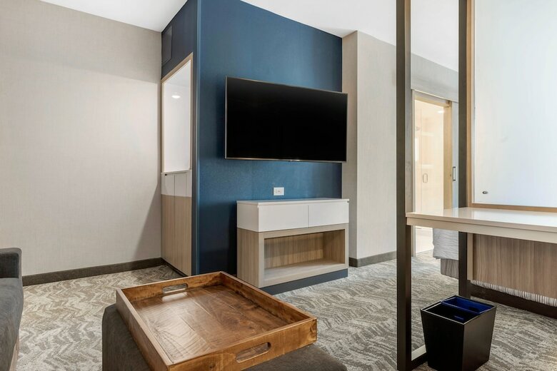 Hotel Springhill Suites By Marriott Charlotte Southwest