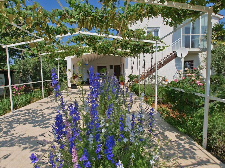 Apartment 924
