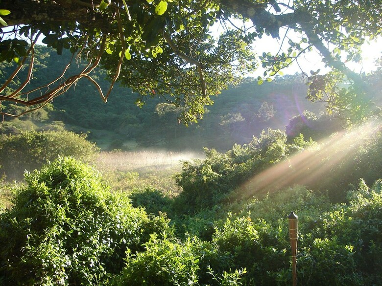 Posada Thunzi Bush Lodge