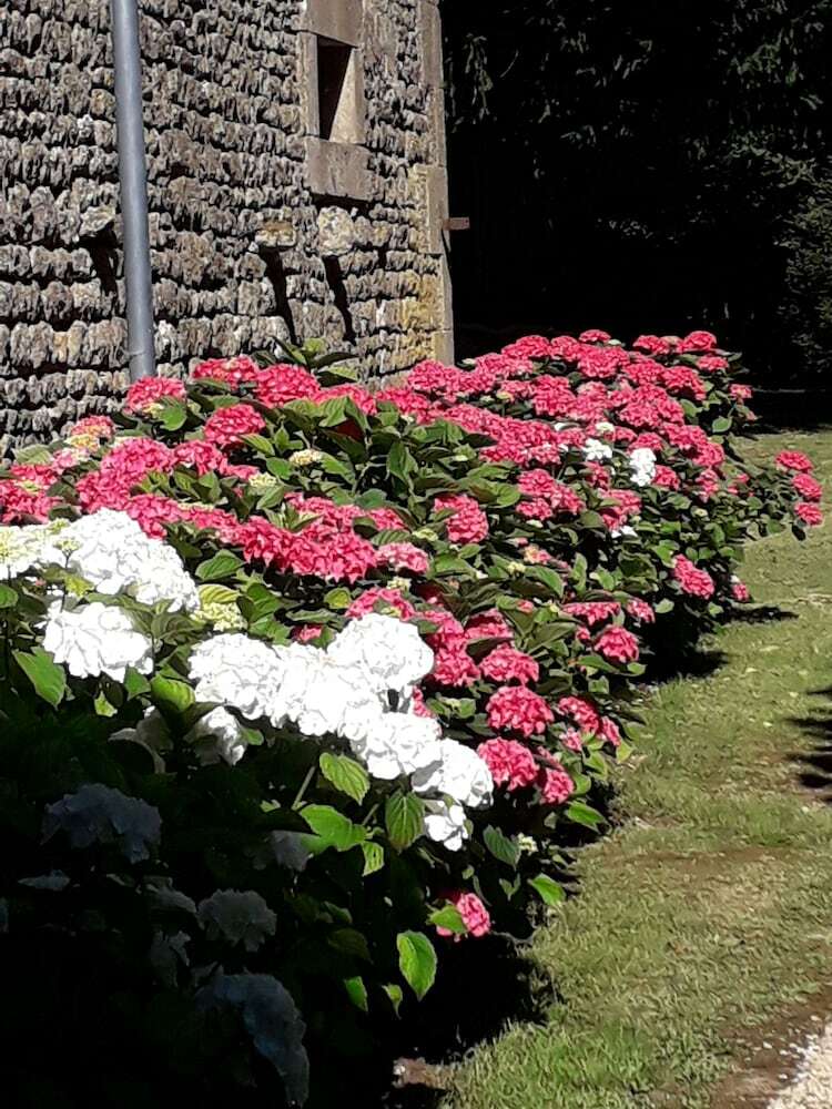 Bed & Breakfast Le Bois de R�