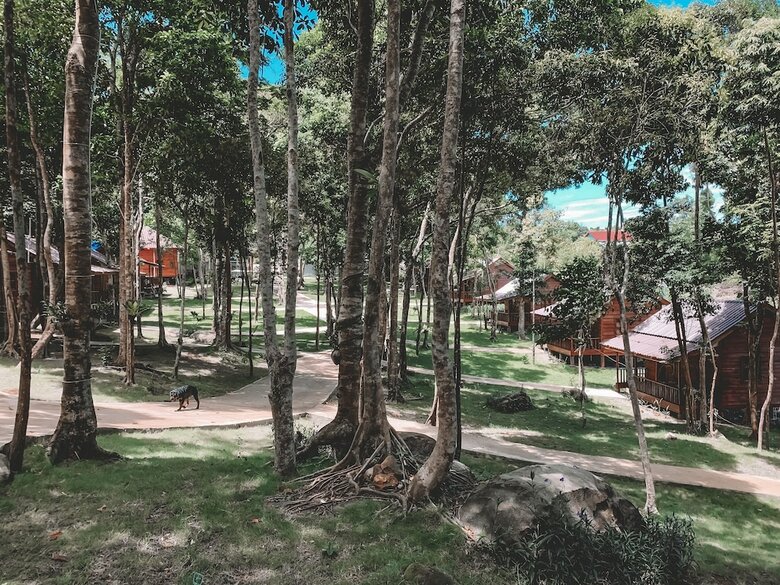 Hotel Ariya Resort