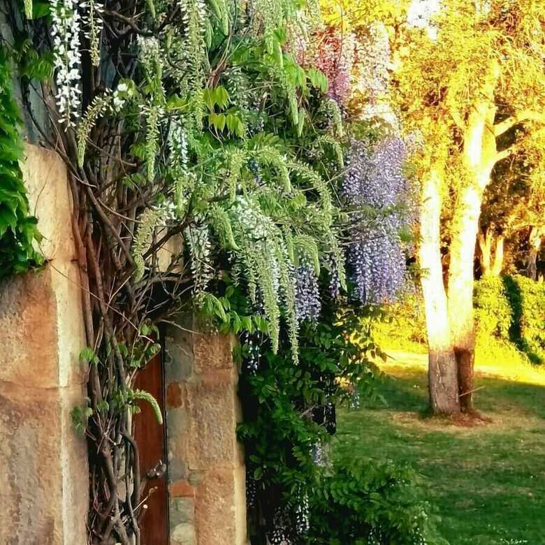 Bed & Breakfast Lamusana - Adults Only