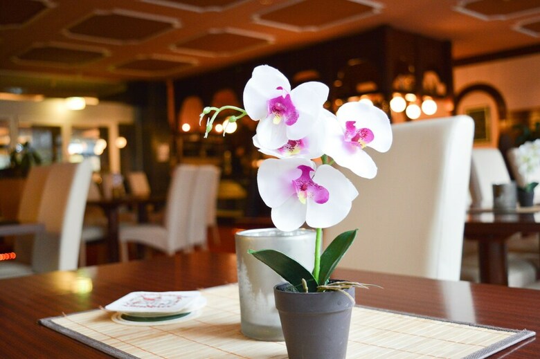 Carea Residenz Hotel Harzh�he