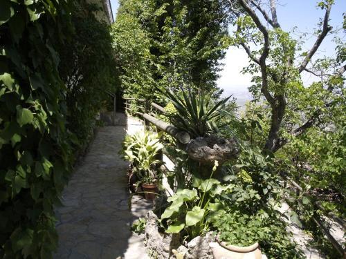 Aparthotel Apartamentos Arroyo Parrilla