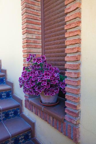 Apartamento Alojamiento Nohal