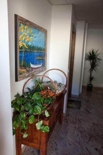 Apartamento Alojamiento Nohal