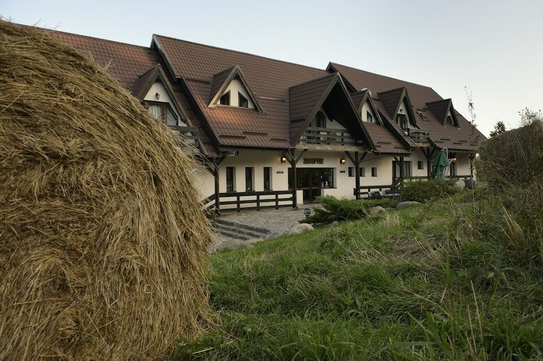 Hotel Contele Vladimir
