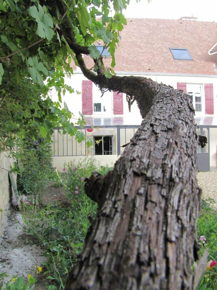 Bed & Breakfast L'escarboucle