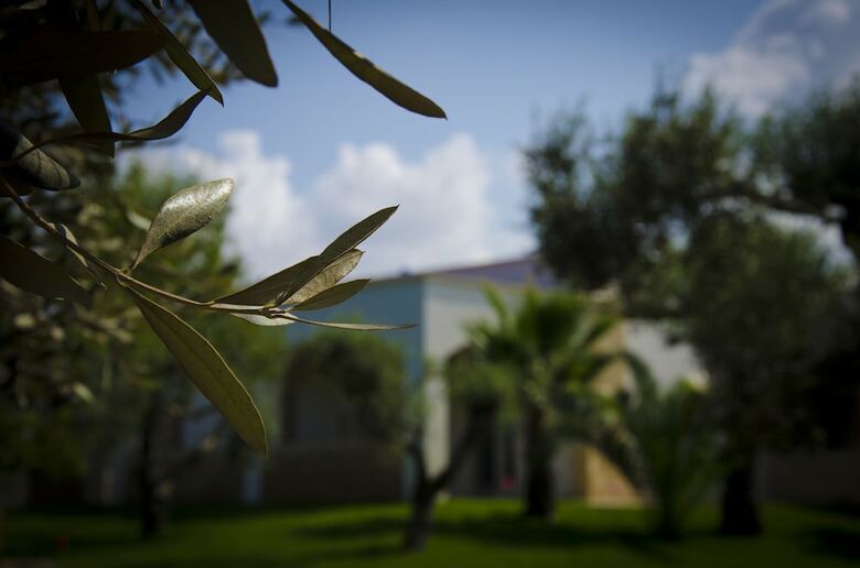 Apartamento Villa Nisapiro'