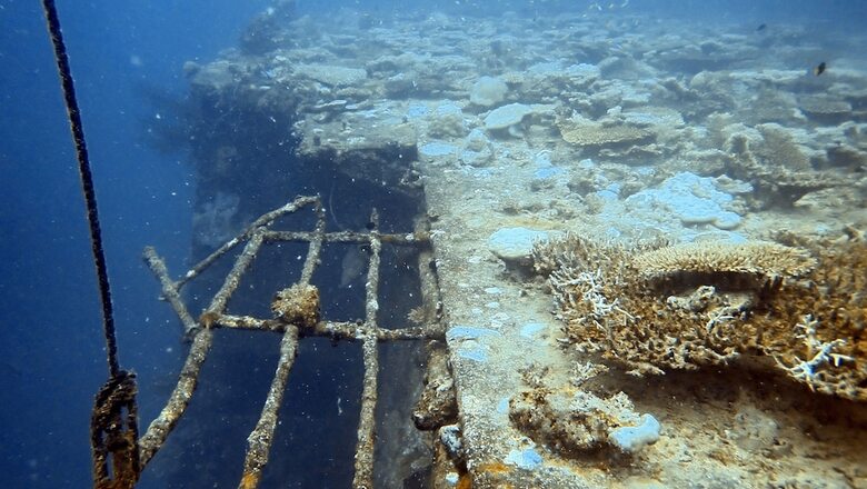 Hotel Sea Star Diving